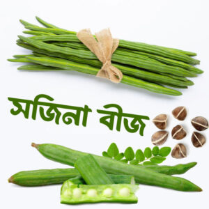 ১০ প্যাকেট সজিনা বীজ নিলে আরো ২ প্যাকেট ফ্রি দাম মাত্র ৩৪৫০৳