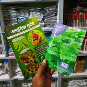 ১ প্যাকেট পুদিনা বীজ মাত্র ৪৯৯৳