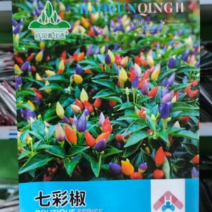 1 Packet Mixed Colour Seed 399৳