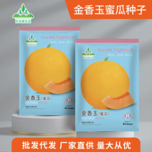 2 Packet Sammam Seeds Price 690