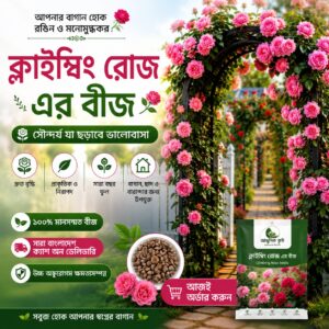 2 Packet Climbing Rose Seeds 899