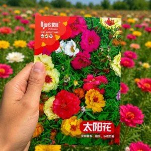 Moss Rose