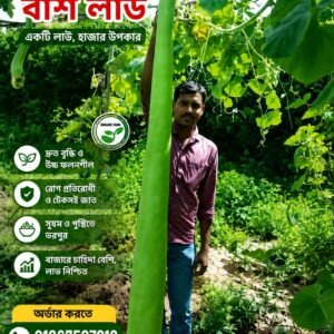 ২ প্যাকেট বাশ লাউ বীজ ৭৫০৳