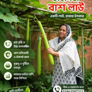 ১ প্যাকেট বাশ লাউ বীজ ৩৯৯৳
